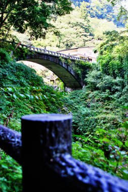 Takachiho Gorge, dar bir uçurum geçit astar neredeyse dik kayalıklar ile Gokase Nehri ile kaya kesiği yavaş volkanik bazalt sütunlar, Takachiho, Miyazaki, Kyushu, Japonya oluşturan oluşur