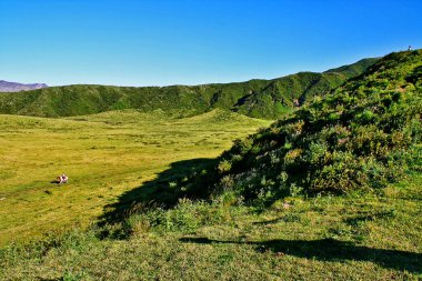Mount Aso (Aso-san), Japonya'nın en büyük aktif yanardağı Aso Kuju Milli Parkı, Aso (Aso-shi), Kyushu Bölgesi, Kumamoto Prefecture, Japonya'da bulunmaktadır
