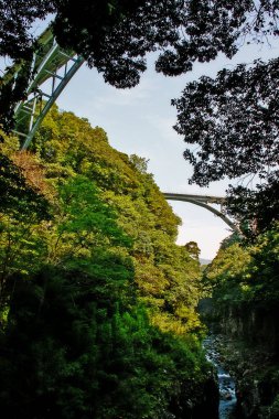 Takachiho Gorge, dar bir uçurum geçit astar neredeyse dik kayalıklar ile Gokase Nehri ile kaya kesiği yavaş volkanik bazalt sütunlar, Takachiho, Miyazaki, Kyushu, Japonya oluşturan oluşur