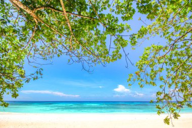 Phang nga, Tayland bir güzel bir günde Tachai Adası plaj