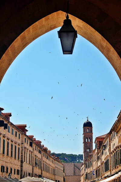 Stradun Oder Placa Stradone Oder Corso Die Mit Kalkstein Gepflasterte — Stockfoto