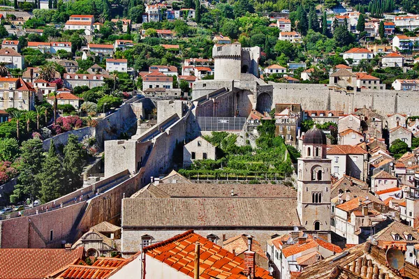 Minceta Tower Tvrdava Minceta Den Starka Fortet Och Den Högsta — Stockfoto