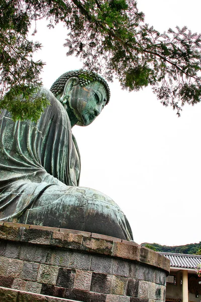 Kamakura Daibutsu Gran Buda Estatua Bronce Amida Buddha Templo Kotoku —  Fotos de Stock