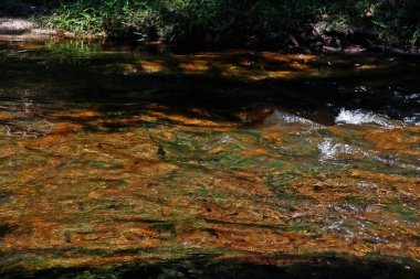 Sahasralingas (Linga 1,000), Phnom Kulen Ulusal Parkı 'nda (Phnom Koulen veya Lychees Dağı), Siem Reap, Kamboçya, 