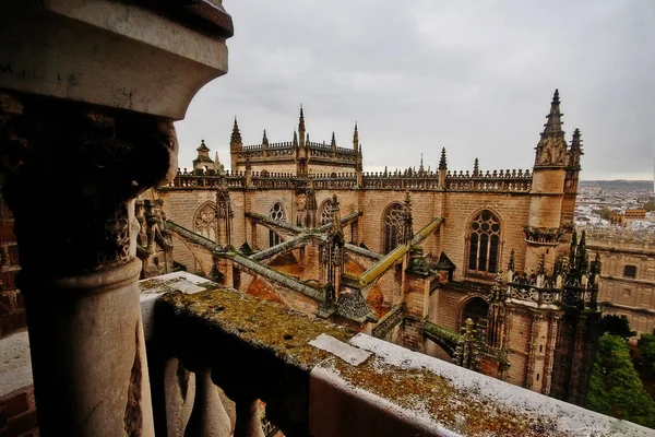 Dachy Dziedziniec Katedry Sewilli Lub Katedra Najświętszej Marii Panny Catedral — Zdjęcie stockowe