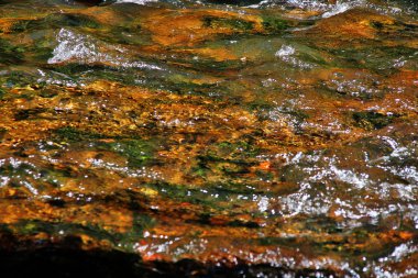 Sahasralingas (Linga 1,000), Phnom Kulen Ulusal Parkı 'nda (Phnom Koulen veya Lychees Dağı), Siem Reap, Kamboçya, 