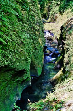 Takachiho Gorge, dar bir uçurum geçit astar neredeyse dik kayalıklar ile Gokase Nehri ile kaya kesiği yavaş volkanik bazalt sütunlar, Takachiho, Miyazaki, Kyushu, Japonya oluşturan oluşur
