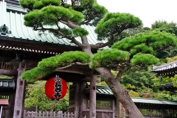 Chouchin Vermelho Com Sanmon Portão Principal Hase Dera Kaiko Zan — Fotografia de Stock