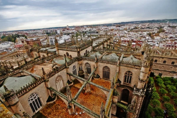 Dachy Dziedziniec Katedry Sewilli Lub Katedra Najświętszej Marii Panny Catedral — Zdjęcie stockowe