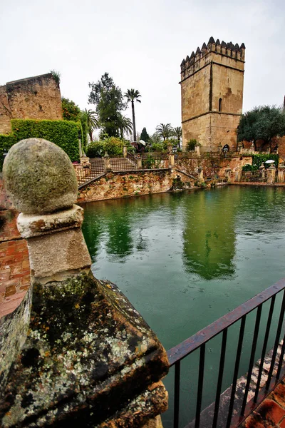 Zahrady Alcara Los Reyes Cristianos Hrad Křesťanských Panovníků Nebo Alcazar — Stock fotografie