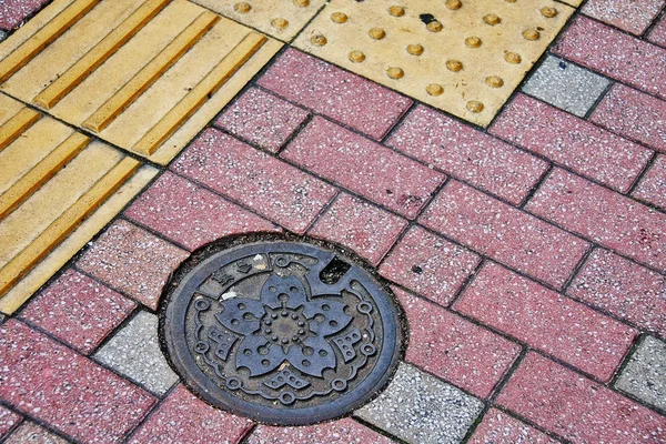 Tokio Región Kanto Japón Mayo 2009 Manhole Cover Street Ginkgo —  Fotos de Stock