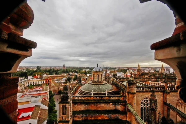 Střechy Nádvoří Sevillské Katedrály Nebo Katedrála Marie Stolce Catedral Santa — Stock fotografie