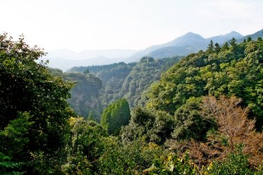 Takachiho Gorge, dar bir uçurum geçit astar neredeyse dik kayalıklar ile Gokase Nehri ile kaya kesiği yavaş volkanik bazalt sütunlar, Takachiho, Miyazaki, Kyushu, Japonya oluşturan oluşur