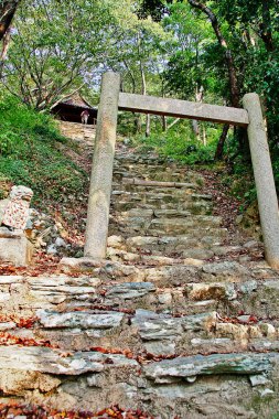 231 basamak (Kechien-zaka eğimi) kimiidera (Kimii-ji Tapınağı) ana yapı kompleksi (Garan) için, bu aşk ve kariyer, Wakayama Prefecture, Kansai, Japonya bazı şans için yamaca tırmanmaya inanıyoruz