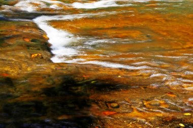 Sahasralingas (Linga 1,000), Phnom Kulen Ulusal Parkı 'nda (Phnom Koulen veya Lychees Dağı), Siem Reap, Kamboçya, 