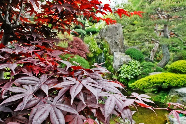 Japanese Style Garden Little Waterfall —  Fotos de Stock