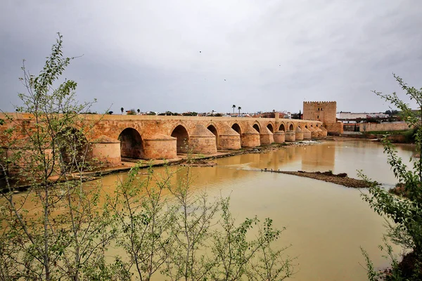 Most Rzymski Kordobie Most Historycznym Centrum Kordoby Przez Rzekę Guadalquivir — Zdjęcie stockowe