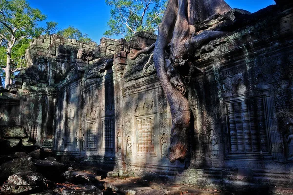 Ruin Temple Preah Khan Khmer Royal Sword Roots Sycamore Trees —  Fotos de Stock