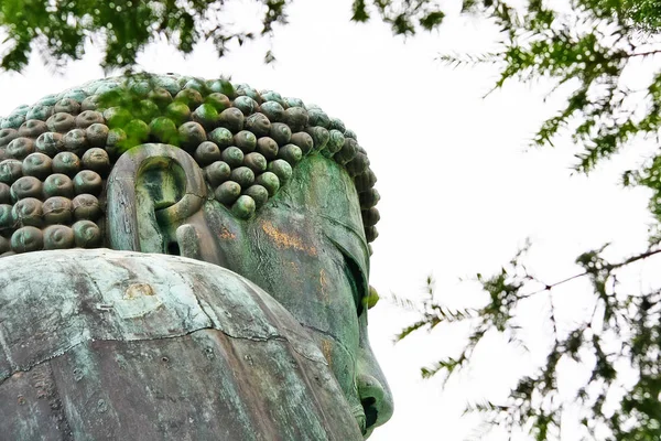 Rosto Fechado Kamakura Daibutsu Grande Buda Estátua Bronze Amida Buda — Fotografia de Stock
