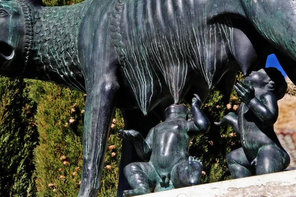 Loba Capitolina Lobo Capitolino Escultura Loba Mítica Amamentada Aos Gêmeos — Fotografia de Stock