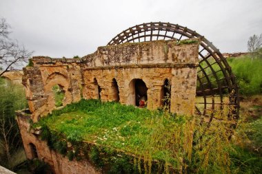 Molino de la Albolafia, ayrıca La Albolafia çarkı olarak da bilinir, Guadalquivir nehrinin sağ kıyısında, Roma köprüsü yakınında, Crdoba (Cordova), Endülüs, Güney İspanya