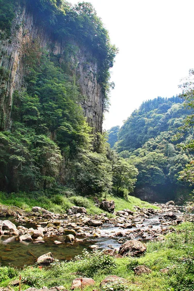 高千穂渓谷は 五ヶ瀬川の岩を切り裂き ほぼ薄い崖が並ぶ狭い岩石で ゆっくりと形成される火山玄武岩柱 高千穂 — ストック写真