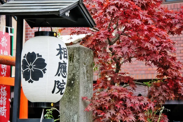 Japanese Lantern Street — Stockfoto