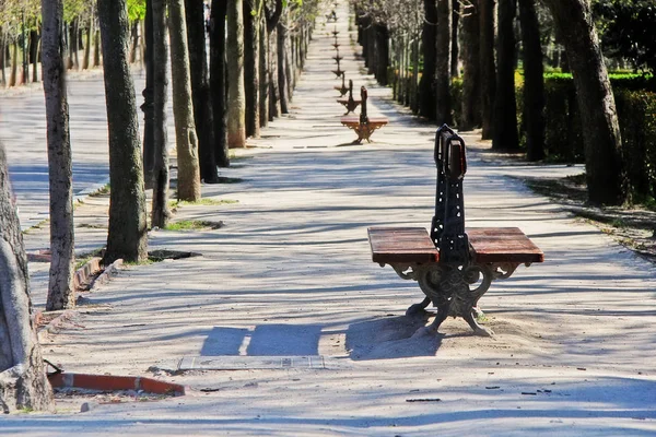 İspanya 'nın başkenti Madrid' in en büyük parklarından biri olan Buen Retiro Parkı 'ndan (Parque del Buen Retiro, Pleasant Retreat Park) Paseo de Cuba.