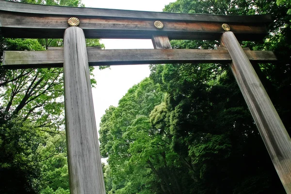 Puerta Torii Que Conduce Complejo Del Santuario Meiji Parque Meiji — Foto de Stock