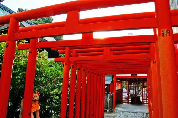 名古屋 愛知県 2009年9月11日 名古屋市中心部の大須に位置する富士千源神社 富士千源神社 の鳥居門 — ストック写真