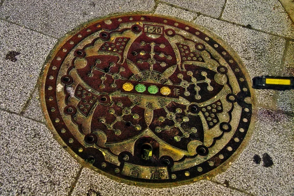 Tokio Región Kanto Japón Septiembre 2009 Manhole Cover Street Ginkgo — Foto de Stock