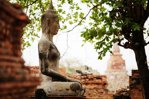 Antica Statua Buddha Wat Mahathat Ayutthaya Thailandia — Foto Stock