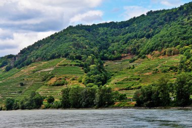 Wachau Vadisi'nde teraslı üzüm bağları, Aşağı Avusturya'da Melk ve Krems kasabaları arasında yer alan Tuna Nehri tarafından oluşturulan pitoresk bir manzara ile Avusturya vadisi
