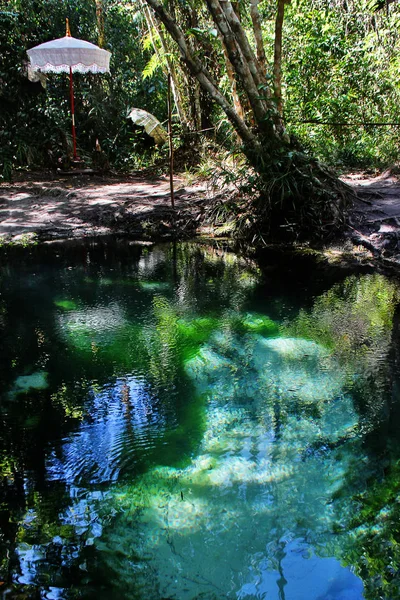 Stagno Fonte Acqua Del Fiume Siem Reap Nel Parco Nazionale — Foto Stock