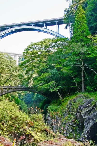 Takachiho Gorge, dar bir uçurum geçit astar neredeyse dik kayalıklar ile Gokase Nehri ile kaya kesiği yavaş volkanik bazalt sütunlar, Takachiho, Miyazaki, Kyushu, Japonya oluşturan oluşur