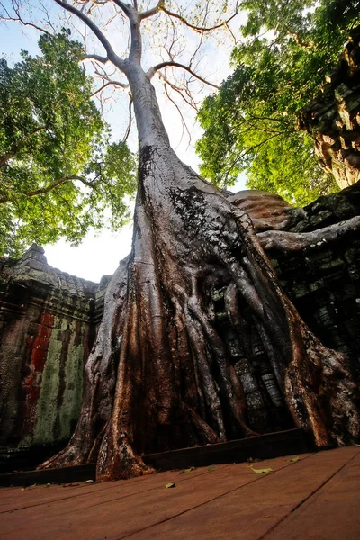 Prohm Prasat Prohm Bayon Stil Templet Känt Som Det Gamla — Stockfoto