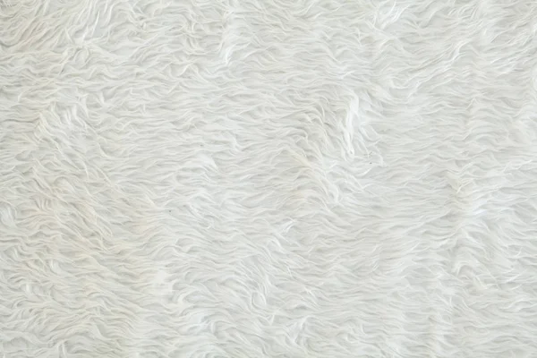Texture of white fur carpet.