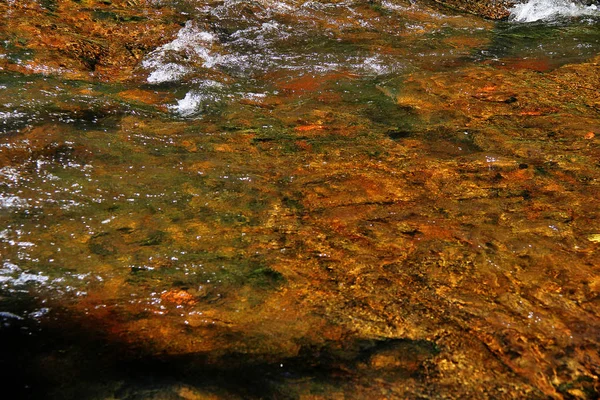 Sahasralingas (Linga 1,000), Phnom Kulen Ulusal Parkı 'nda (Phnom Koulen veya Lychees Dağı), Siem Reap, Kamboçya, 