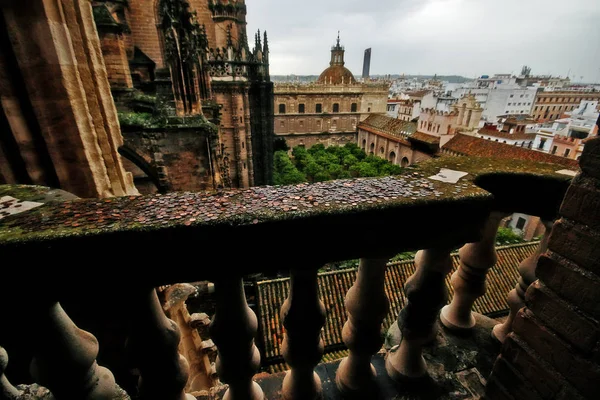 Střechy Nádvoří Sevillské Katedrály Nebo Katedrála Marie Stolce Catedral Santa — Stock fotografie