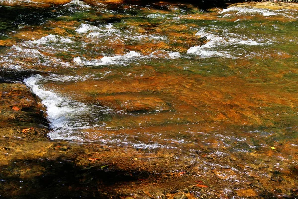 Sahasralingas Linga 1000 Фігури Йоні Лінги Скелястому Руслі Річки Горі — стокове фото