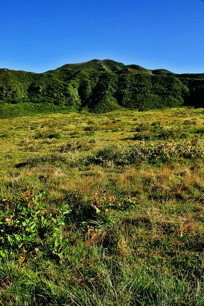 규모의 활화산인 아소산은 아소구주 국립공원 아소시 규슈지방 구마모토현에 있습니다 — 스톡 사진