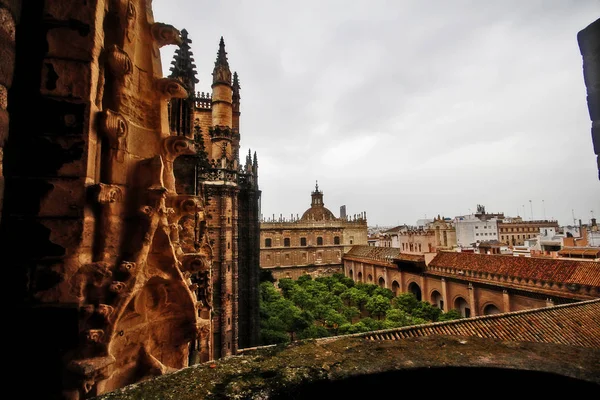 Střechy Nádvoří Sevillské Katedrály Nebo Katedrála Marie Stolce Catedral Santa — Stock fotografie