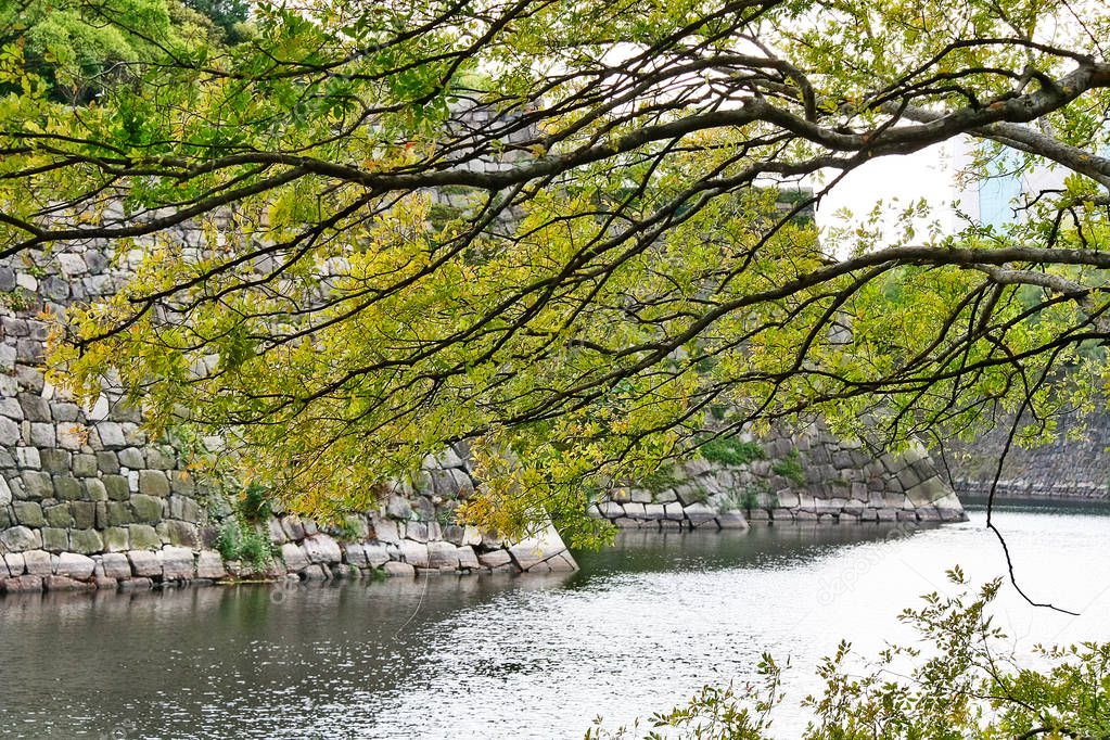 Scene of nature at Osaka Castle Park ( Osaka-J-Ken) with moat of Osaka castle, Osaka, Kansai region, Japan