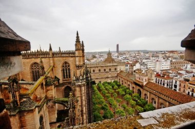 Seville Katedrali 'nin çatısı ve avlusu, ya da Saint Mary of the See Katedrali (Santa Maria de la Sede Katedrali), Giralda' dan (La Giralda), Seville Katedrali 'nin çan kulesi,.