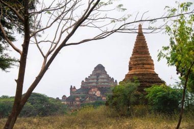 dhammayangyi Tapınağı