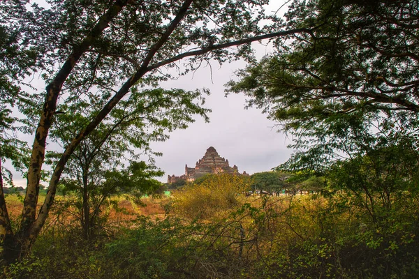 Храм Dhammayangyi — стокове фото