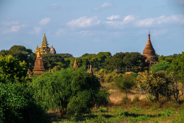 Bagan