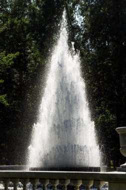 Peterhof 'un güzel çalışan pınarları
