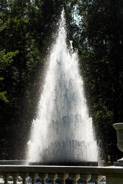 Peterhof 'un güzel çalışan pınarları
