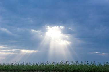 Güneş Bulutların arasından tatili